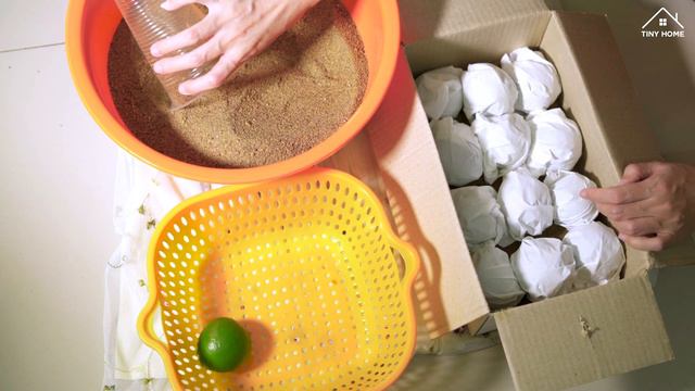NO REFRIGERATOR: Store And Keep Lemons (Limes) Fresh FOR MONTHS смотреть онлайн