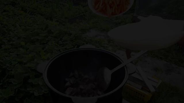 ВКУСНО И СОЧНО - А-ля ПЛОВ (Готовим в Сибири) смотреть онлайн