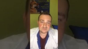 Вывих коленной чашки у животного. Что делать с вывихом у кошек и собак?