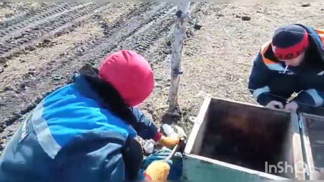 Готовим поля к выпасам. смотреть онлайн