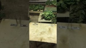 Супер Приспособление 2018 Вязка банных веников