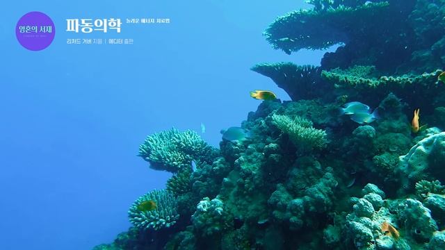 우주에 동조된 상태로 있으면 한 생각을 품을때마다 우주의 원자들이 그것을 실현시키기 위해 움직인다 참자아로 있을 때 당신은 육체 아스트랄체를 초월한다 | 리처드거버「파동의학」에디 смотреть онлайн