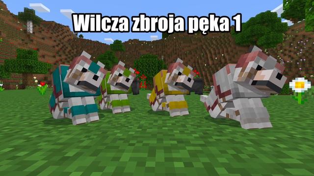 HARDCORE na BEDROCKU! KOLOROWA WILCZA ZBROJA! Przegląd Minecraft 1.21 - Preview 1.20.80.20 смотреть онлайн