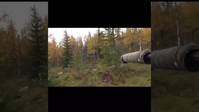 Охота на лося в Швеции смотреть онлайн