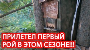 ПОПАЛСЯ ПЕРВЫЙ РОЙ СЕЗОН 2022))