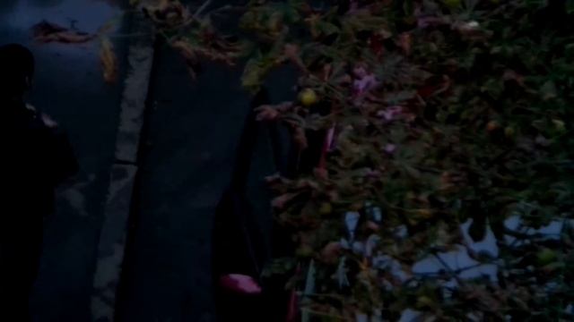 Samsung WB800F  21x Optical Zoom Тест Зума