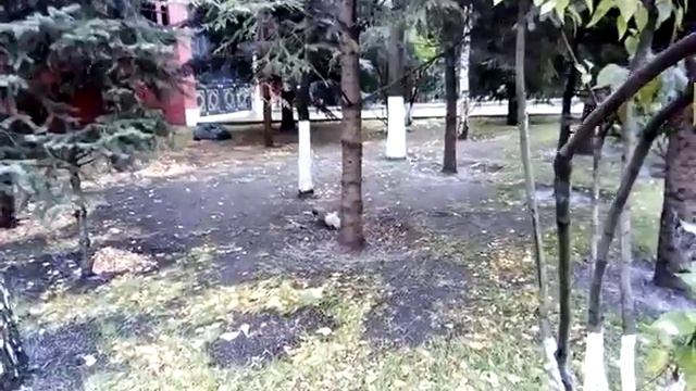 Москва и регионы России(2) смотреть онлайн