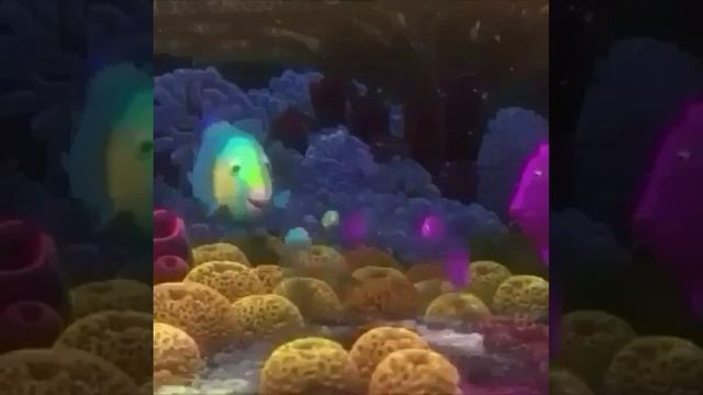 Go Play On The Sponge Beds.