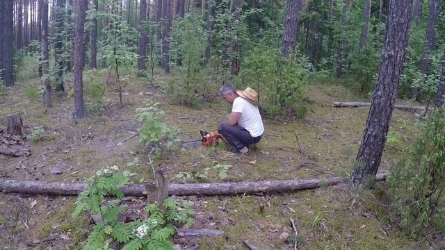 Выезд на природу с ночевкой (первый в этом году) смотреть онлайн