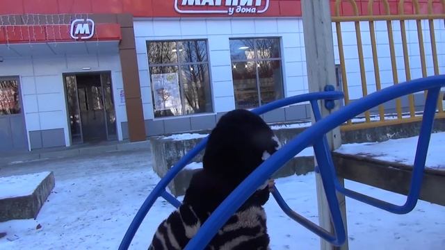 VLOG: ТВОРОГ/игродом/мальчик-джентельмен/Катя гладит смотреть онлайн