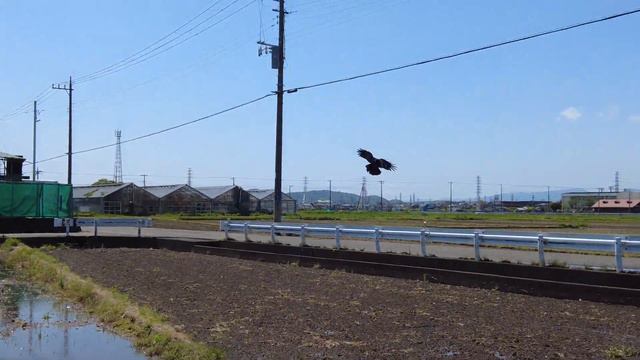 【2021/04/18】DJI Pocket 2 + DJI Wireless Mic смотреть онлайн