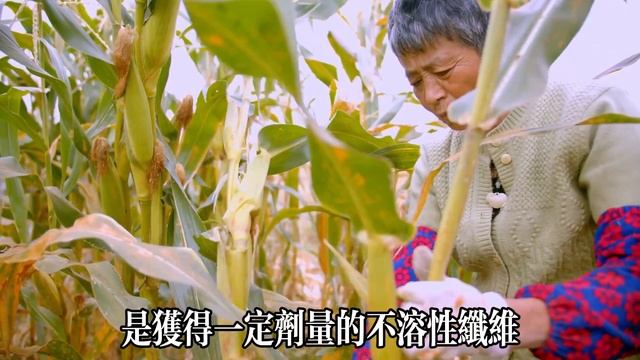 【乐厨怡妈】玉米不能常吃？醫生提醒：爲了健康，這3種人最好少吃，很多人却還不知道  。