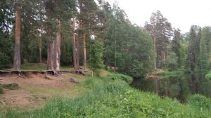 Дмитрий Майоров - Наш край (То берёзка, то рябина, Куст ракиты над рекой)