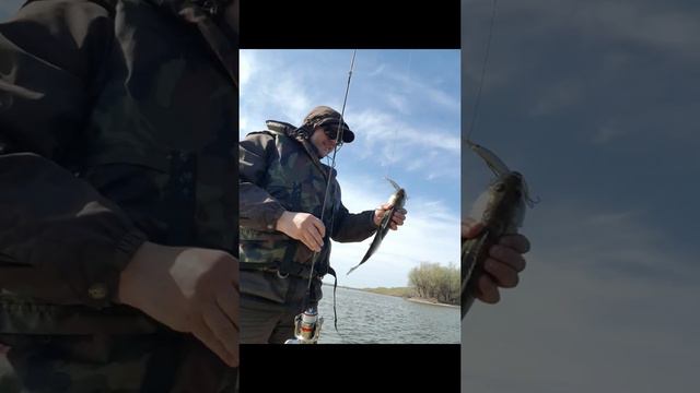 Селитренное, апрель 2021 г. смотреть онлайн