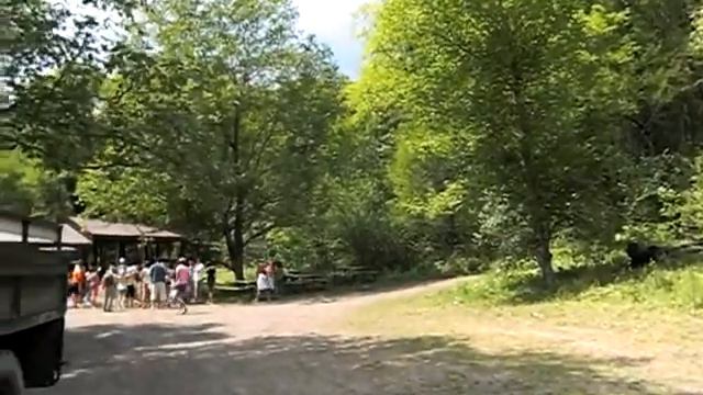 Куагские водопады смотреть онлайн