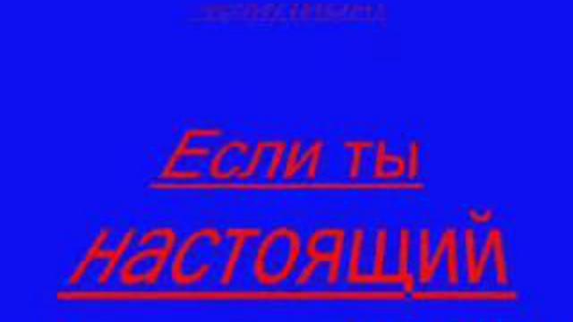 ЦСКА в кубке УЕФА