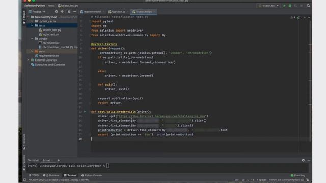 Verifying Locators with Selenium and Python смотреть онлайн