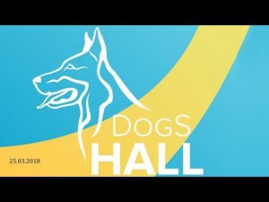Аджилити | Второй этап AGISTARS | 25.03.2018 | DogS HALL | LIVE