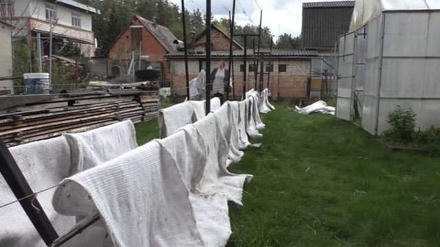 Весенние заморозки 2023. Защищаем виноград смотреть онлайн