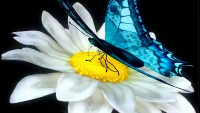 Simbiozz.ru Рекламный ролик N1 смотреть онлайн