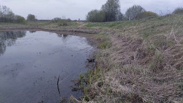 Закрытие охоты весна 2023 смотреть онлайн