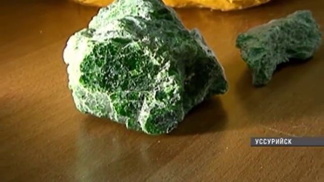 Водитель автобуса хотел вывести из Приморья два мешка изумрудов смотреть онлайн