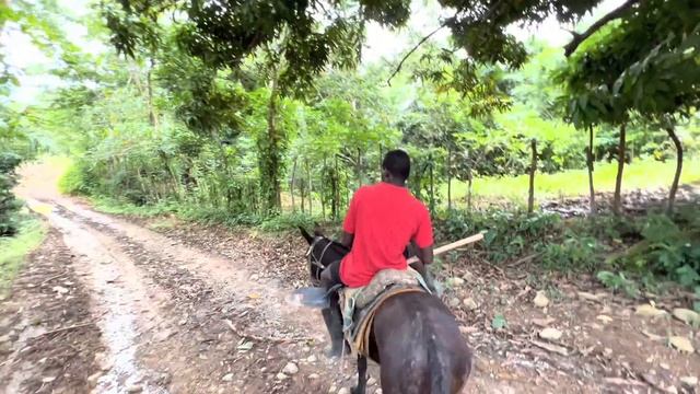 Доминикана / Сгорел Дом!!  / Dominican Channel