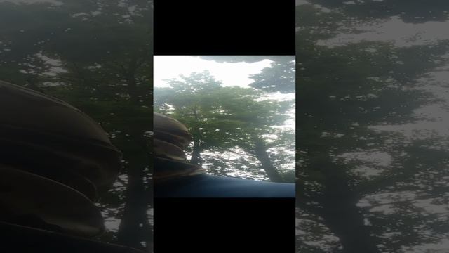 Ну заблудился, с кем не бывает