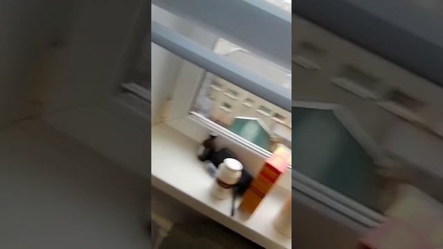 Искрит микроволновка, что делать?! смотреть онлайн