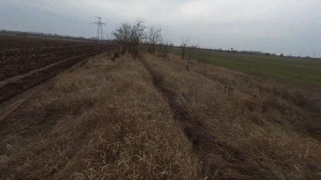 Закрытие охоты на зайца 2023 смотреть онлайн