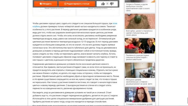 Что из себя представляет уход за цикламеном в домашних условиях смотреть онлайн