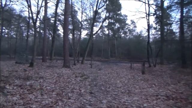 XP DEUS. Версия 4.1 Покупка. Комплектация. Цена. Подарки. Первые находки.