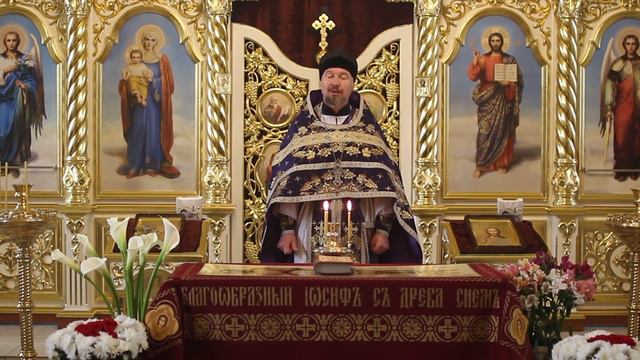 СТУРЗОВКА Видеообращения.17.04.2020 смотреть онлайн