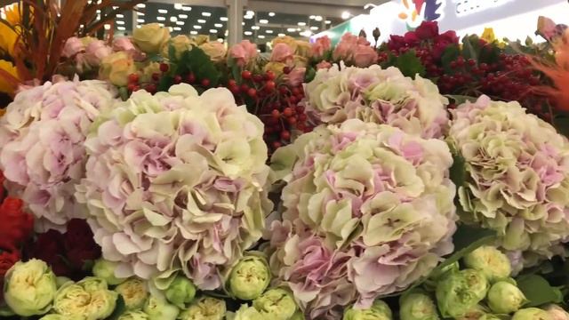 Международная выставка «FlowersExpo / Цветы Экспо» 2018 смотреть онлайн