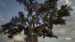 Песни про Охоту. трек Кетченеры