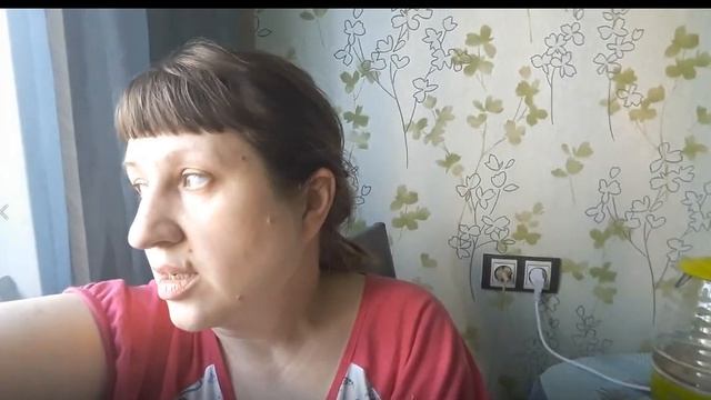 ЖДЕМ ГОСТЕЙ, КУПИЛИ ЧЕМОДАН В "ЛЕНТЕ" ОБЗОР смотреть онлайн