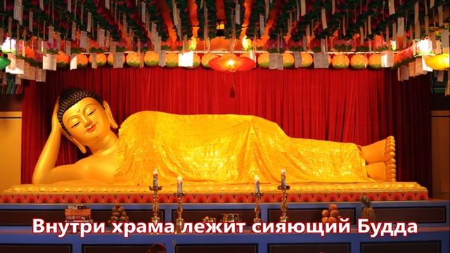 Сахалинские корейцы.Экскурсия в храмовый комплекс Хэдон в пригороде г. Пусан, Южная Корея смотреть онлайн