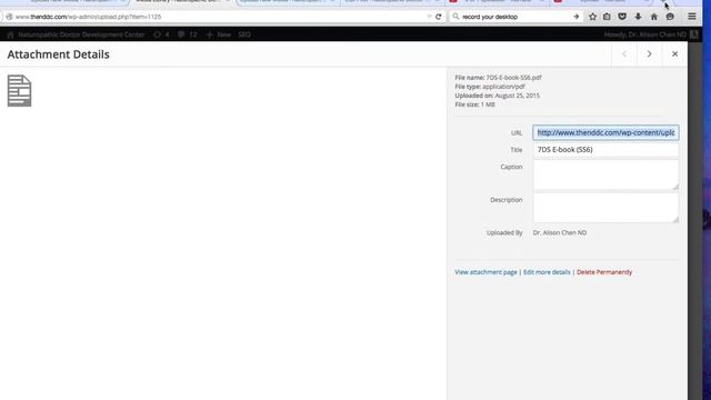 How to save your .pdf e-book into a url in Wordpress смотреть онлайн
