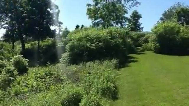 $2,250,000 0BR 0BA in LANSDOWNE. Call Georgina Ratcliffe: (416) 925-9191 смотреть онлайн