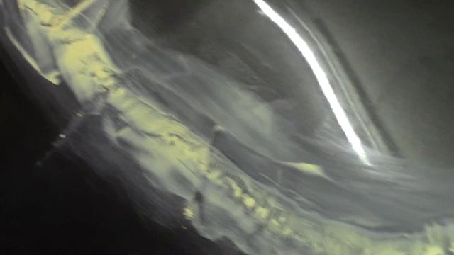 Chery Bonus, ремонт заднего бампера,шпаклюем смотреть онлайн