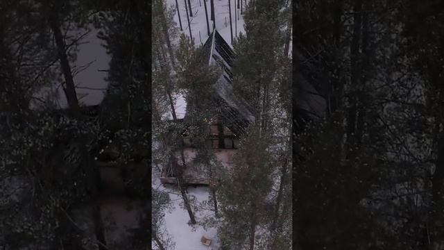 Дом в сосновом лесу на берегу реки смотреть онлайн