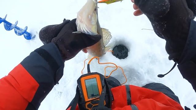 ЛОВИМ СУДАКА НА ВИБЫ с МНОГОКРАТНЫМ ЧЕМПИОНОМ МИРА по ловле рыбы со льда смотреть онлайн