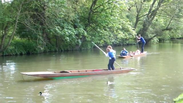 117. OxfordInside. Катание на лодках по каналам Оксфорда. Punting In Oxford, Christ Church Meadow.