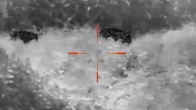 Hunting wildboars with Night Pearl Marten 630 смотреть онлайн