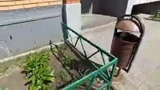 Купила всё розовое, поругалась с дедом и переделала кучу домашних дел. смотреть онлайн