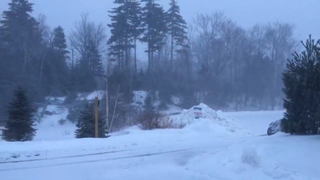 Начался снегопад срочно уезжаем в Нью-Йорк! Дом за 2млн.долларов США смотреть онлайн