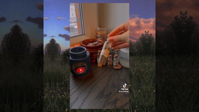 ведьмочки травницы из тик тока смотреть онлайн