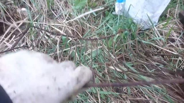 Медные залежи на месте бывшего ремцеха. смотреть онлайн