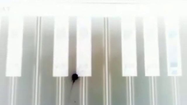 Включите эту музыку соседям если они вас достали шумом