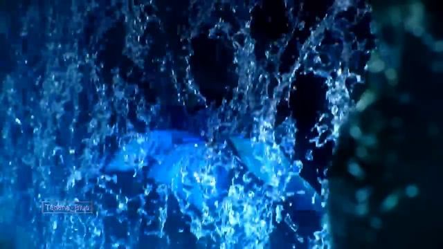 Butterfly Waltz - Brian Crain & Rita Chepurchenko (Emotional video) смотреть онлайн